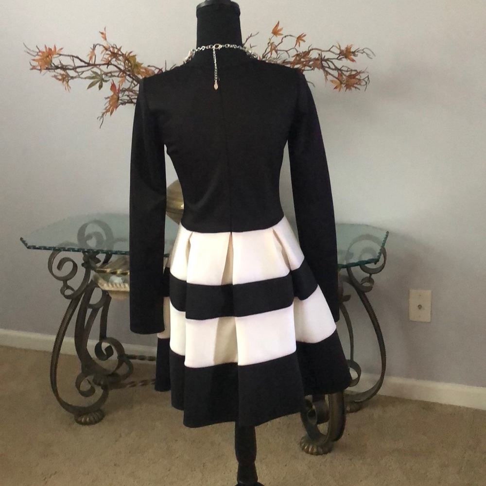 Black and White Dress - Picture 4 of 12
